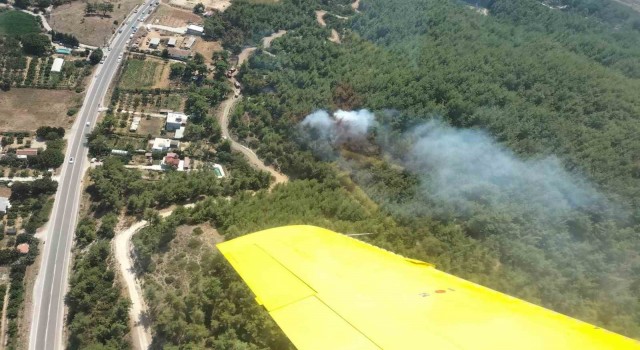 İzmirde orman yangını büyümeden söndürüldü