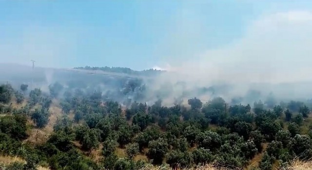 İznikte makilik alanda çıkan yangın söndürüldü