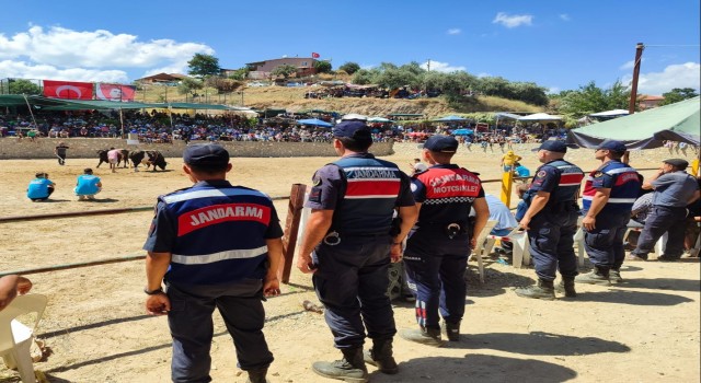 Jandarma boğa güreşinde tedbiri elden bırakmadı