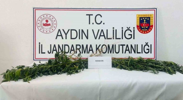 Jandarma uyuşturucuya geçit vermiyor