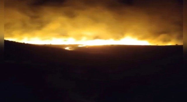 Karacadağ Bal Ormanında yangın