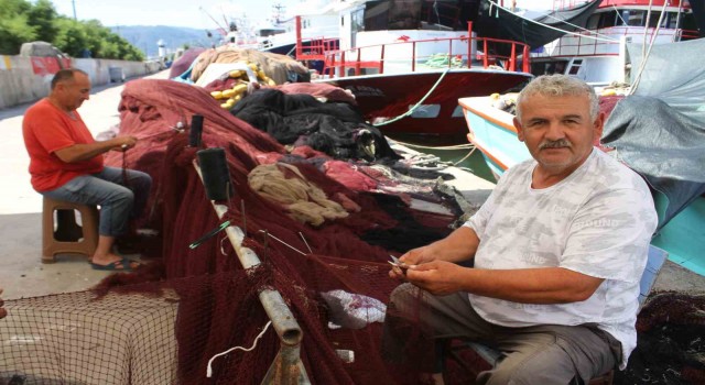 Karadenizli balıkçılar hamsiden umutlu: “Bu sezon hamsi yılı olacak”