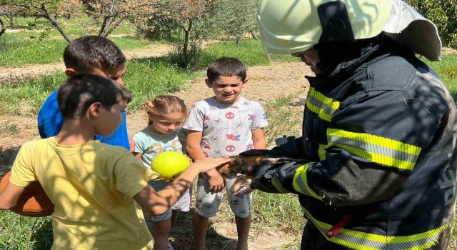 Kuyuya düşen kediyi top oynayan çocuklar fark etti