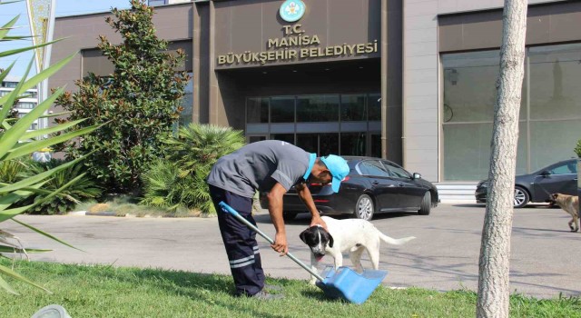 Manisada yürek ısıtan görüntü