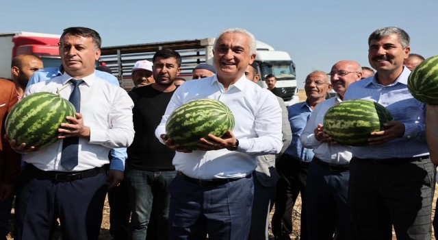 Muşta karpuz hasadından 1 milyar 200 milyon lira gelir bekleniyor