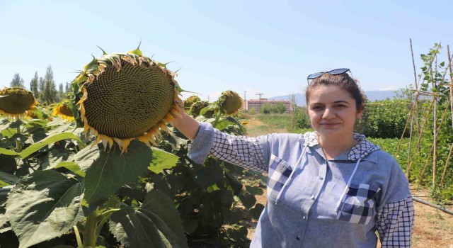 Organamineral gübre ile topraklarımız kurtarılacak