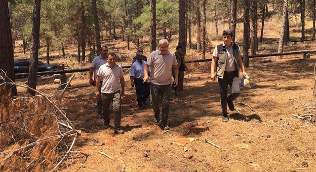 Orman Bölge Müdürü, Ceyhan'da İncelemelerde Bulundu