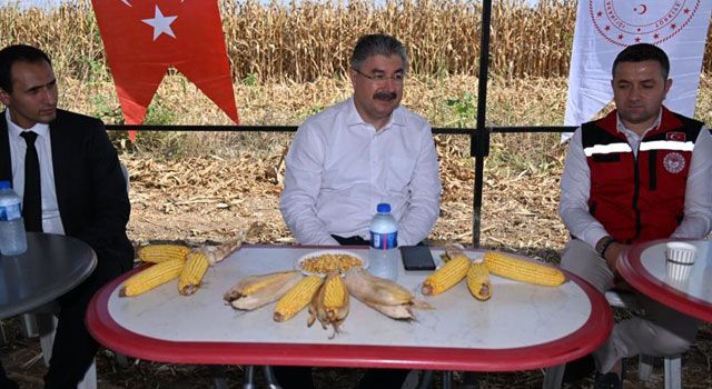 Osmaniye Valisi Dr. Erdinç Yılmaz, Yeniköy Köyünde Mısır Hasadına Katıldı