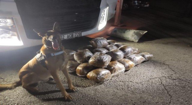 Osmaniye'de 40 kilo skunk ele geçirildi