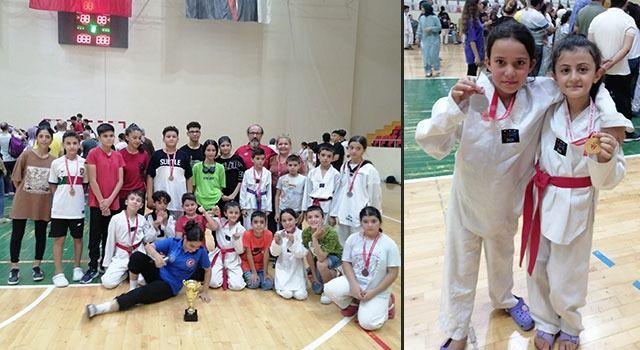 Osmaniye’de Zafer Kupası Taekwondo Şampiyonası Düzenlendi