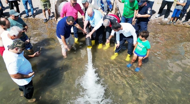 Sapanca Gölüne 100 bin balık salındı