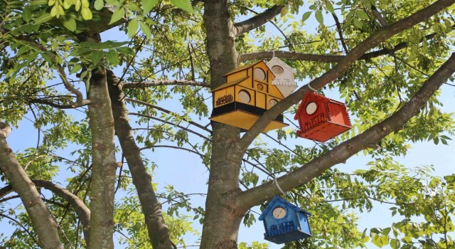 Serdivanın parklarını kedi ve kuş evleri süslüyor