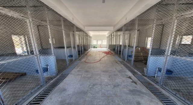 Sokak hayvanları Güroymak Belediyesine emanet
