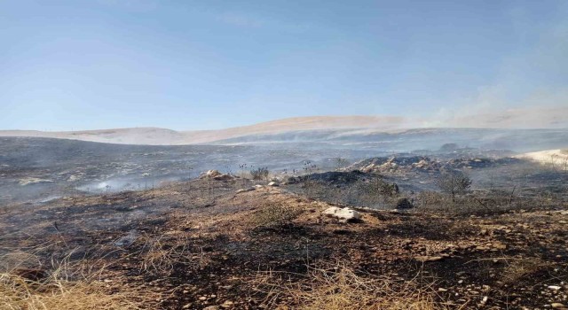 Şuhutta arazi yangını