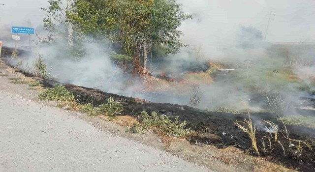 Tekirdağda ağaçlık alan kül oldu