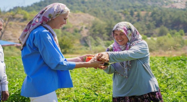 Toprakla buluşan 180 bin fide ilk ürünlerini verdi