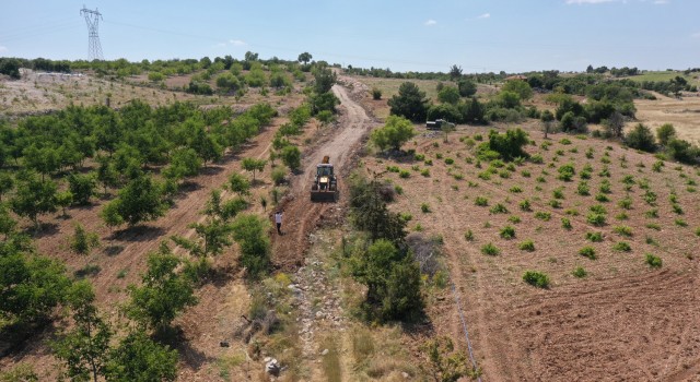 Turizm ilçesi Pamukkalede tarım da gelişiyor