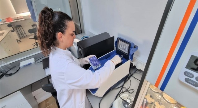 Yenidoğanın hayatını kurtaracak tıbbi tanı kitinde sona yaklaşıldı