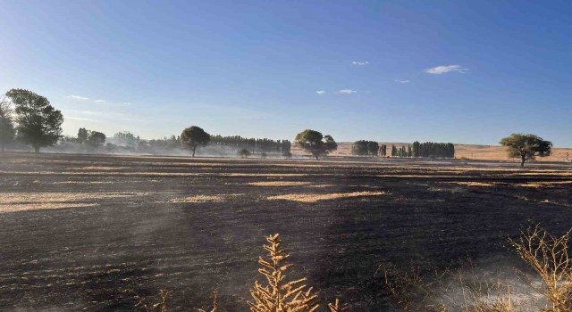 Yozgatta 500 dönüm buğday ekili alan 10 dakikada yandı