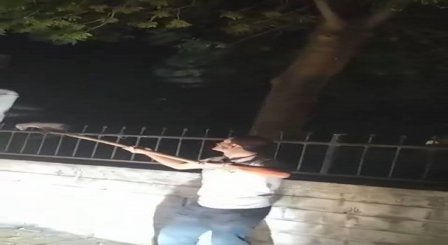 Ağaçtan düşerek demir korkuluklara saplanan sansar kurtarıldı