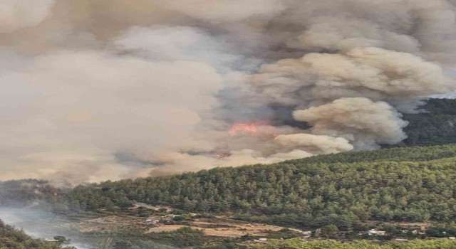 Alanyadaki orman yangını geniş bir alanda devam ediyor