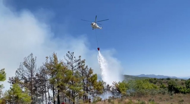 Alanyadaki orman yangını karadan ve havadan müdahaleyle büyümeden söndürüldü