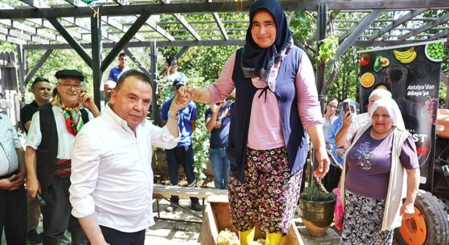 Antalya'da "Mor Üzüm" Hasadı Yapıldı