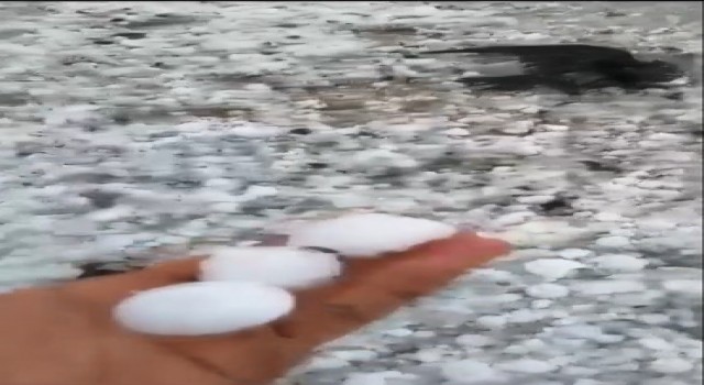 Arpaçayı dolu vurdu, çok sayıda kuş telef oldu