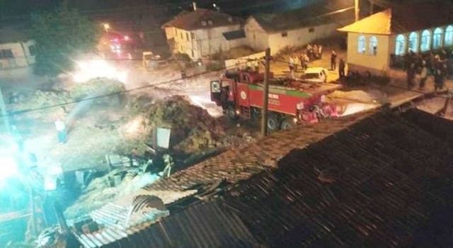 Aslanapada korkutan yangın