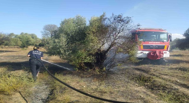 Aydın Büyükşehir İtfaiyesinden Umurludaki yangına hızlı müdahale