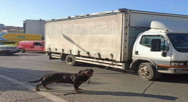 Bağcılarda köpeği kamyonete iple bağlayan sürücüye para cezası