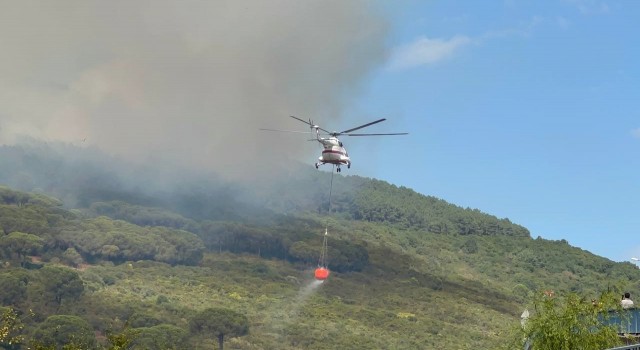 Başıbüyük Ormanında çıkan yangına itfaiye ve helikopter müdahale ediyor