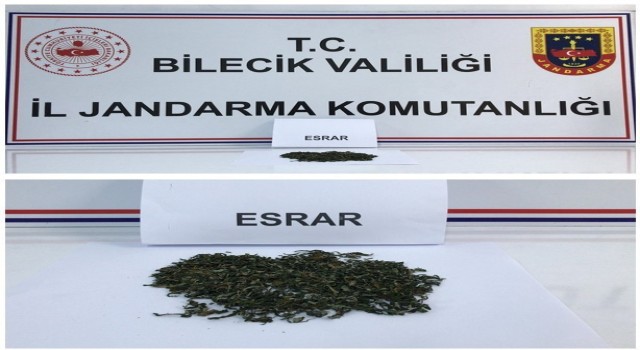 Bilecikte uyuşturucu operasyonu: 2 kişi gözaltına alındı