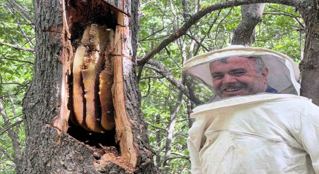 Bingölde Bal avcıları arı takibi yaparak doğal bala ulaşıyor