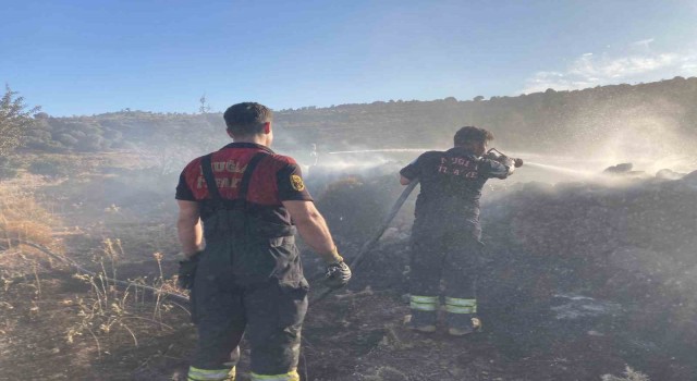 Bodrumda makilik alanda yangın
