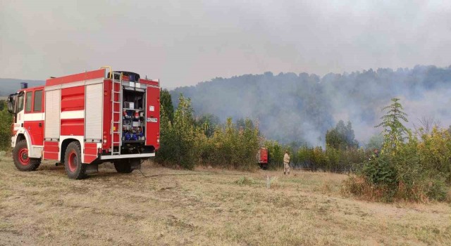 Bulgaristan-Türkiye sınırındaki yangın sebebiyle 2 köy boşaltıldı