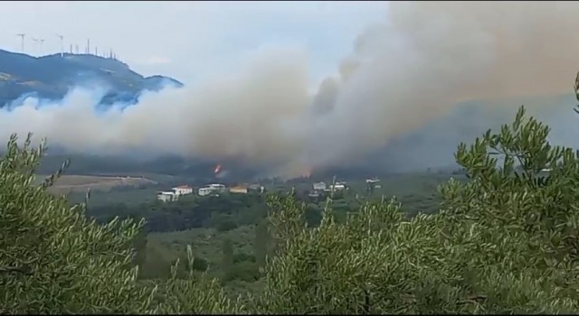 Bursada orman yangını