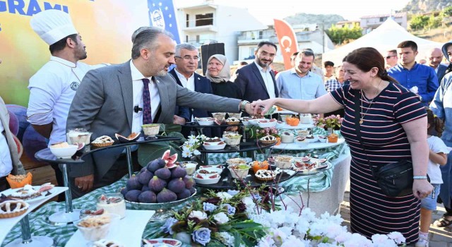 Bursanın Siyah incisinde hasat başladı