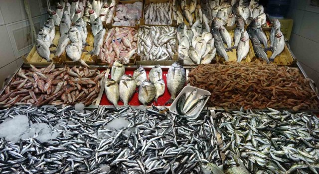 Çanakkalede av yasağının sona ermesiyle balık tezgahları şenlendi