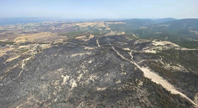 Çanakkalede bu yıl 114 orman yangınında 4 bin 260 hektar ormanlık alan zarar gördü