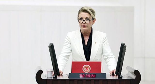 CHP’li Kaya: "Şiddete Karşı Yasal ve Siyasi Adımlar Şart"