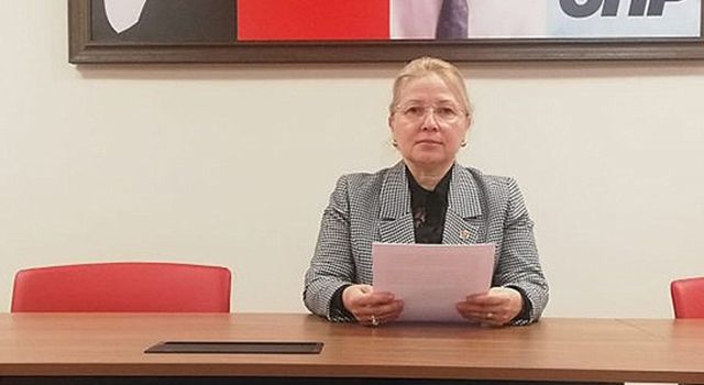 CHP'li Yontar'dan ÇEDES Projesi'ne tepki