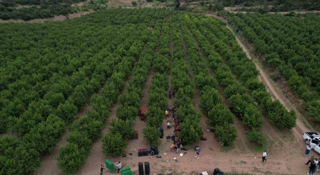 Coca-Cola Türkiyeden Bursada su geri kazanım projesi