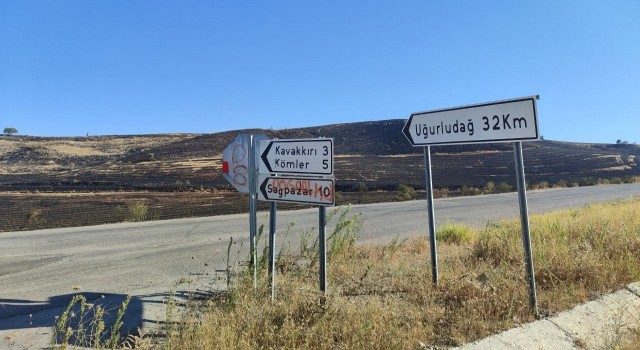 Çorumda anız yangını: Yüzlerce dönüm alan zarar gördü