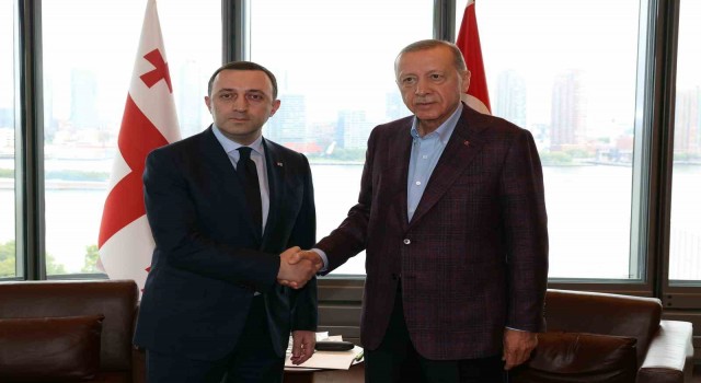Cumhurbaşkanı Erdoğan, Gürcistan Başbakanı Garibashviliyi kabul etti