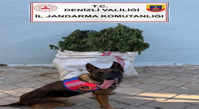 Denizlide 10 kilo esrar yakalandı