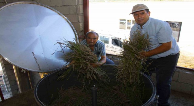 Distilasyon makinesi ile lavanta üreticileri zamandan tasarruf ediyor