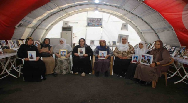 Diyarbakır anneleri 5 yıldır evlatlarının yolunu gözlüyor