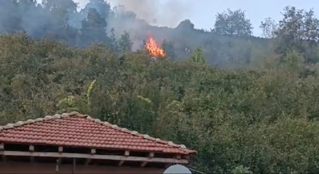 Düzcede korkutan yangın