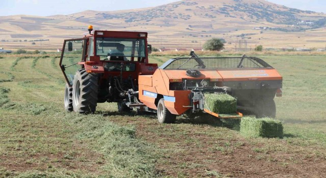 Elazığda balyalama mesaisi başladı